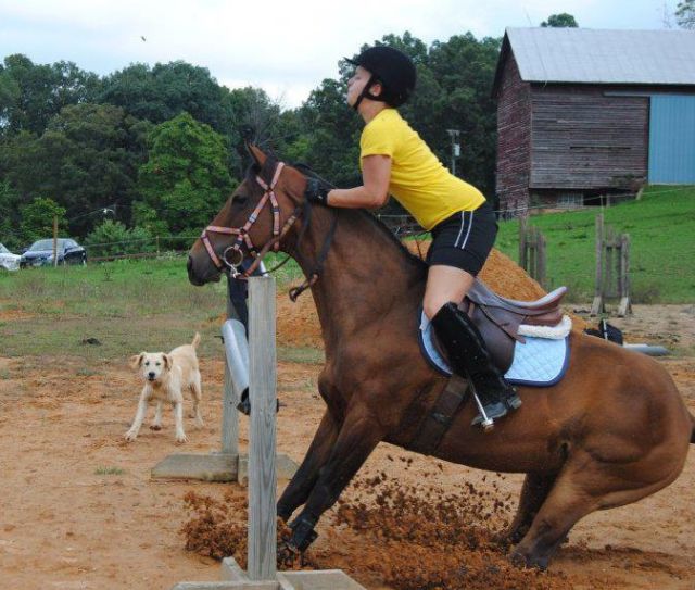 Morning Picdump