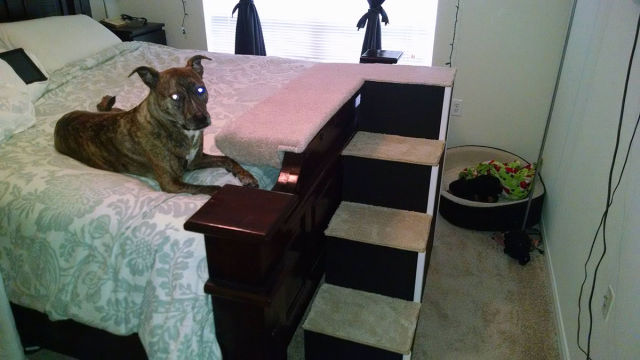 Content Image