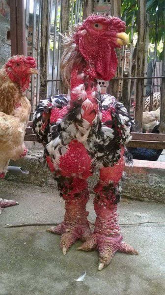 Morning Picdump