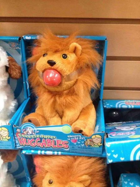 Daily Picdump