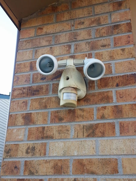 Morning Picdump