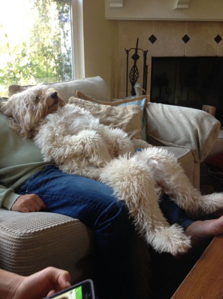 Morning Picdump