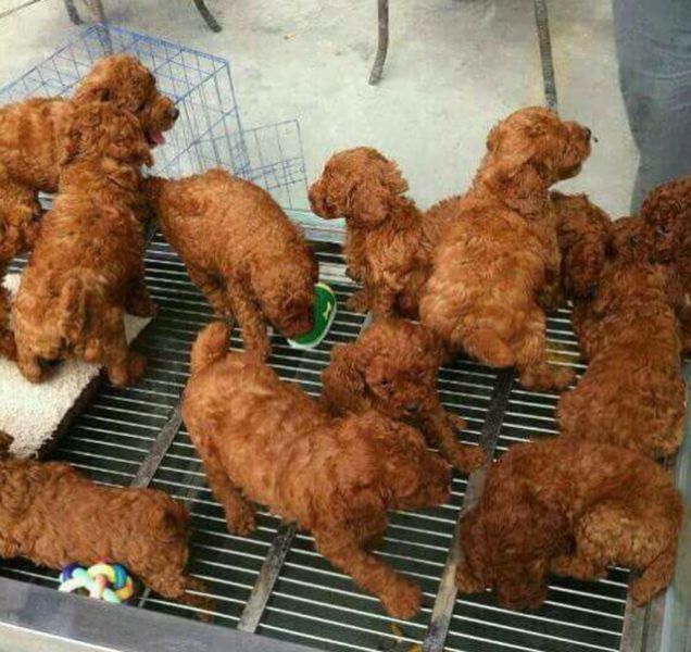 Morning Picdump