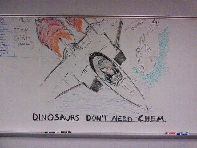 Daily Picdump