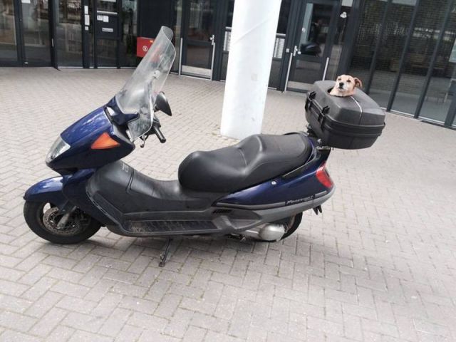 Content Image