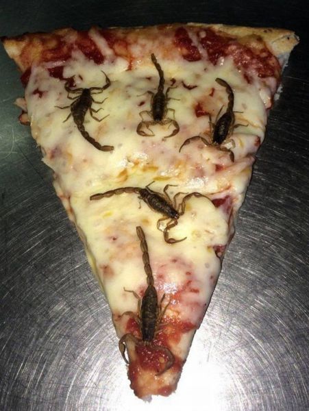 Content Image