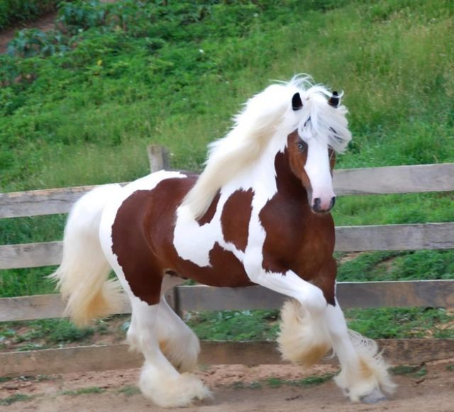 Morning Picdump
