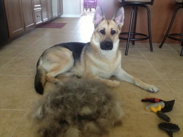 Morning Picdump