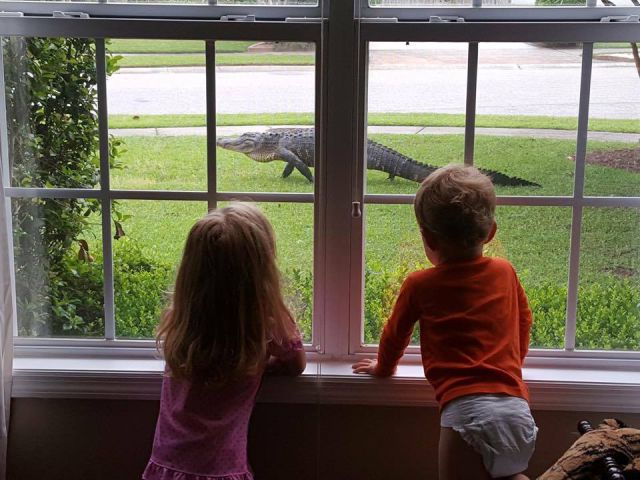 Morning Picdump