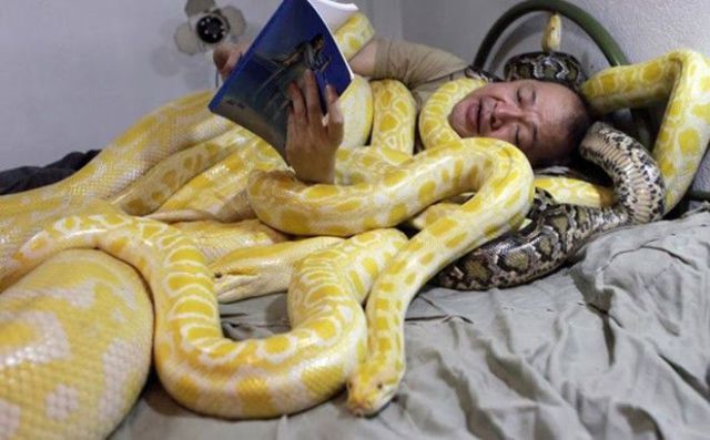 The Weird Stuff You Will Only See in Asia