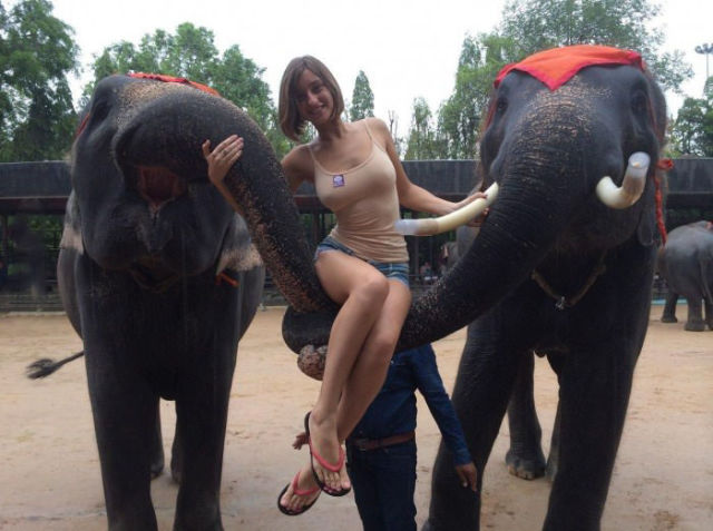 Morning Picdump