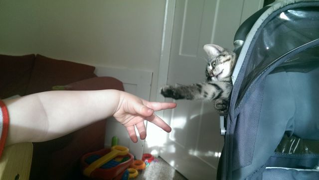 Daily Picdump