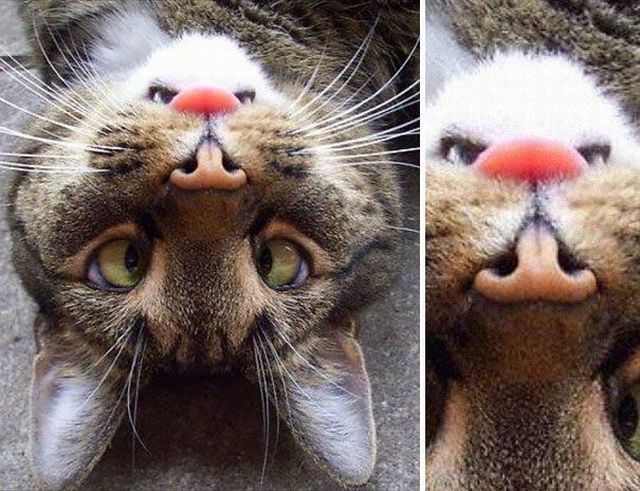 Daily Picdump