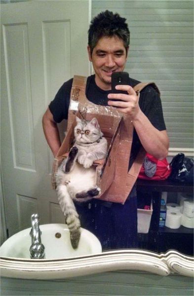 Content Image