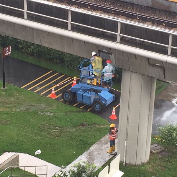 Morning Picdump