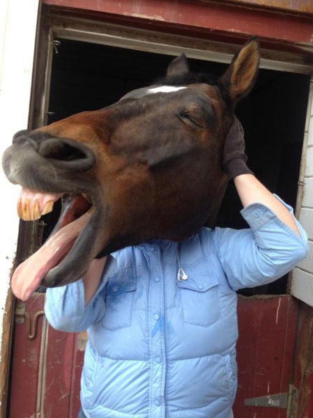 Morning Picdump