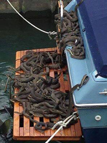 Morning Picdump