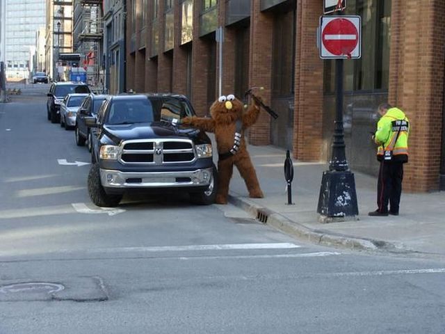 Content Image