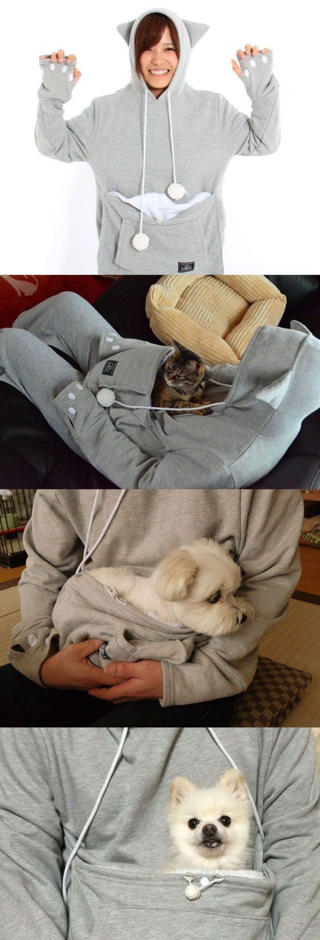 Content Image