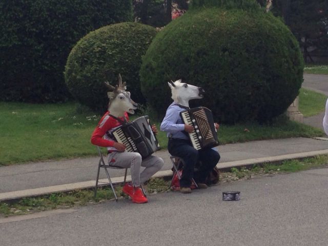Content Image