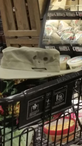 Content Image