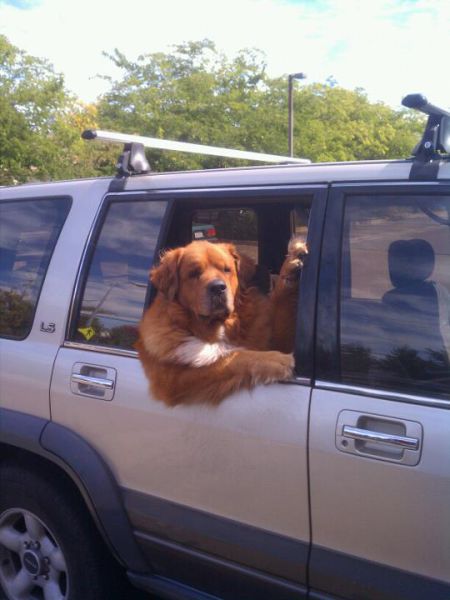 Morning Picdump