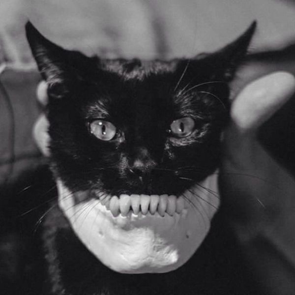 Daily Picdump [WEEKEND EDITION]