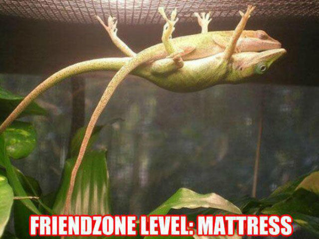 Life in the Friendzone Has All of the Cons with None of the Pros