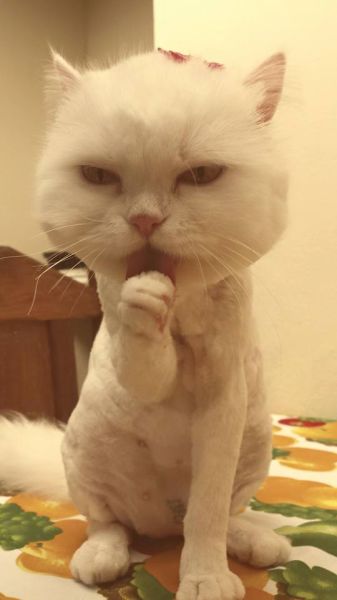 Morning Picdump