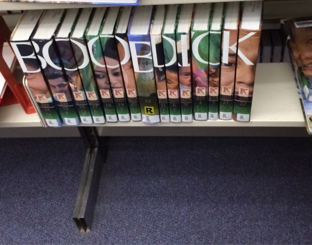 Morning Picdump
