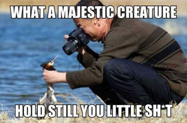 Pictures for Those With Dirty Minds