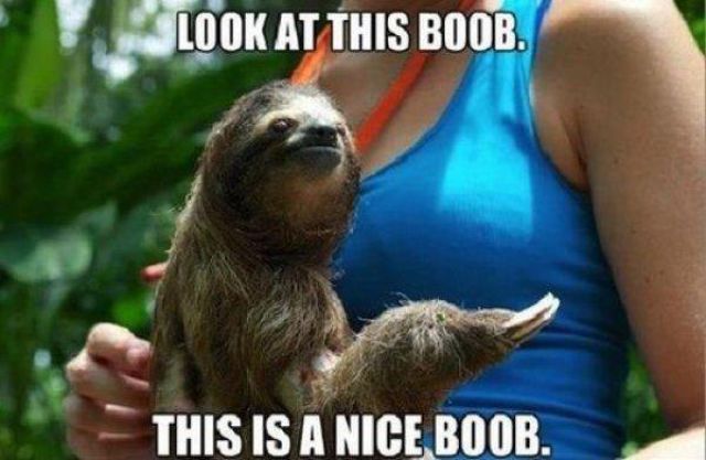 Pictures for Those With Dirty Minds