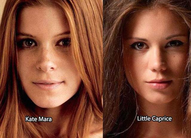 Well Known Female Stars Who Have Uncanny Porn Star Lookalikes