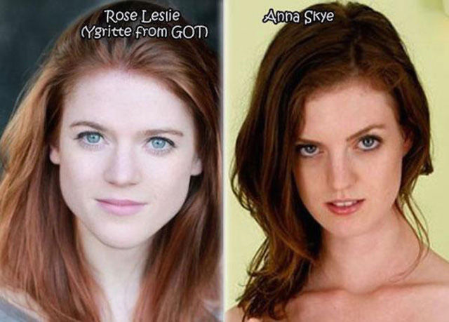 Well Known Female Stars Who Have Uncanny Porn Star Lookalikes