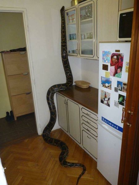 Morning Picdump