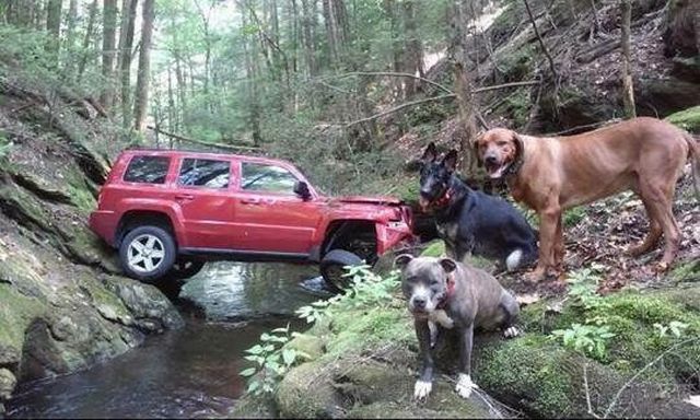 Daily Picdump