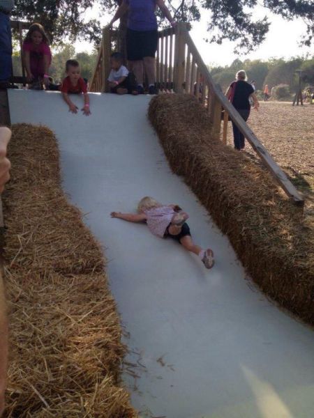 Daily Picdump