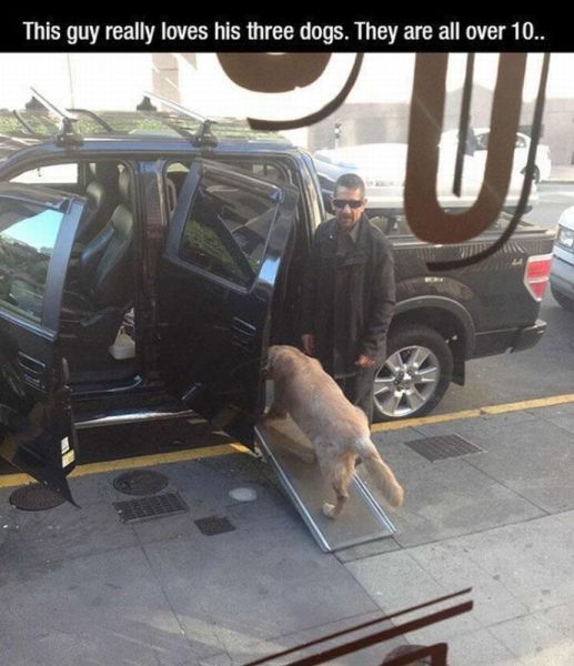 Daily Picdump