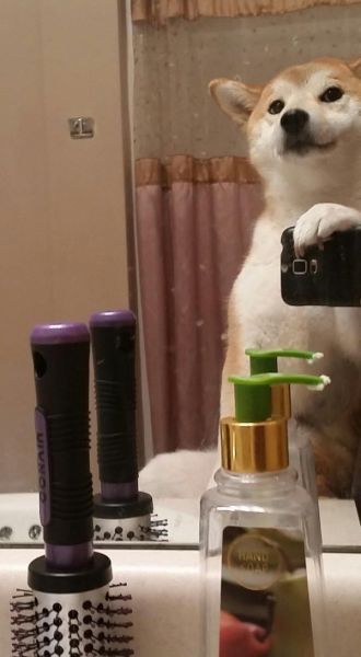 Daily Picdump