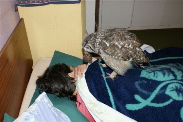 Daily Picdump