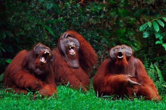Daily Picdump