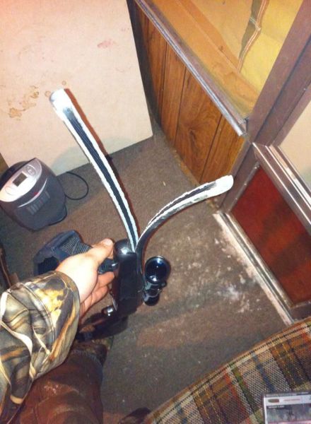 Content Image