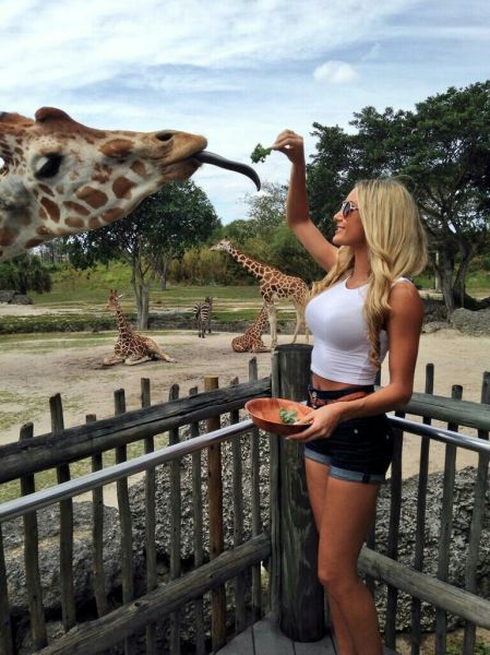 Morning Picdump