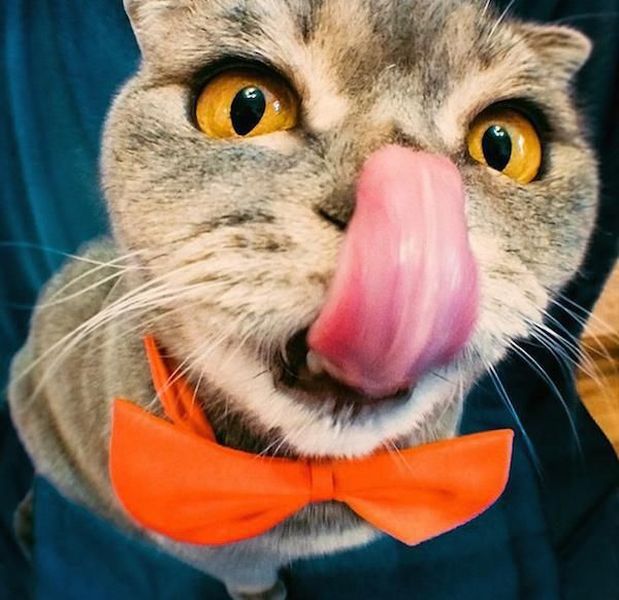 Daily Picdump