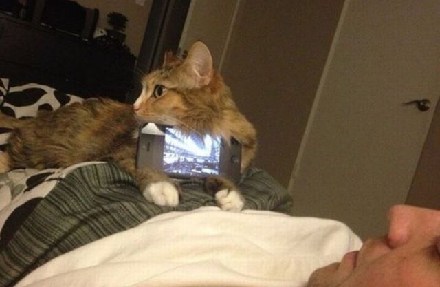 Daily Picdump