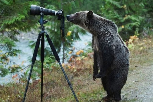 Daily Picdump