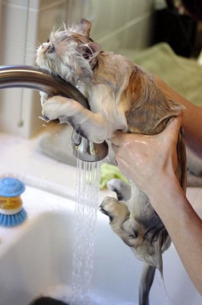 Daily Picdump