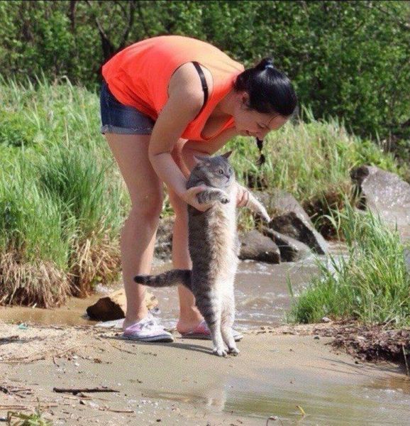 Daily Picdump