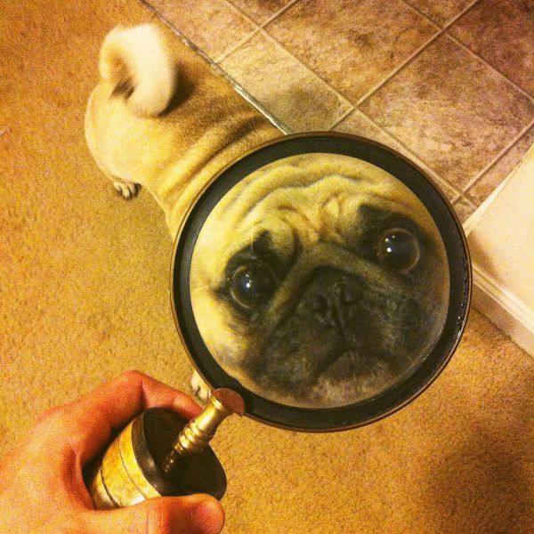 Morning Picdump