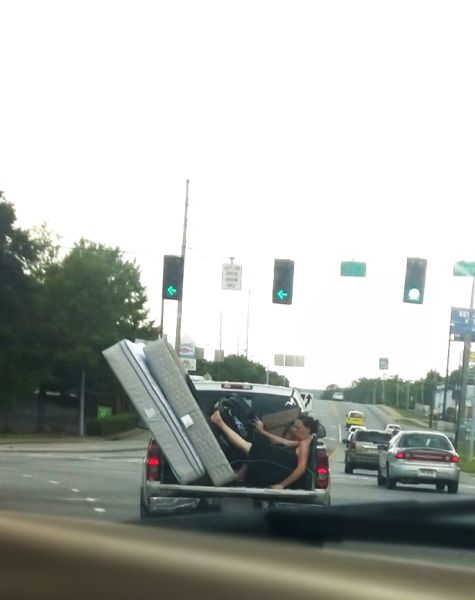 Morning Picdump